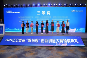 公司榮獲2024年安徽省“徽姑娘”創(chuàng)新創(chuàng)意大賽三等獎